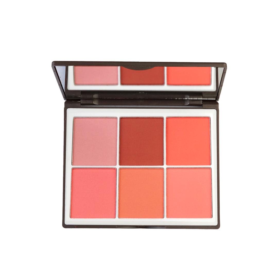 6 color blush palette