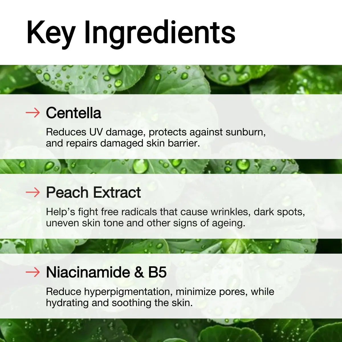 Best ingredients in Sunblock for skin protection - AccuFix