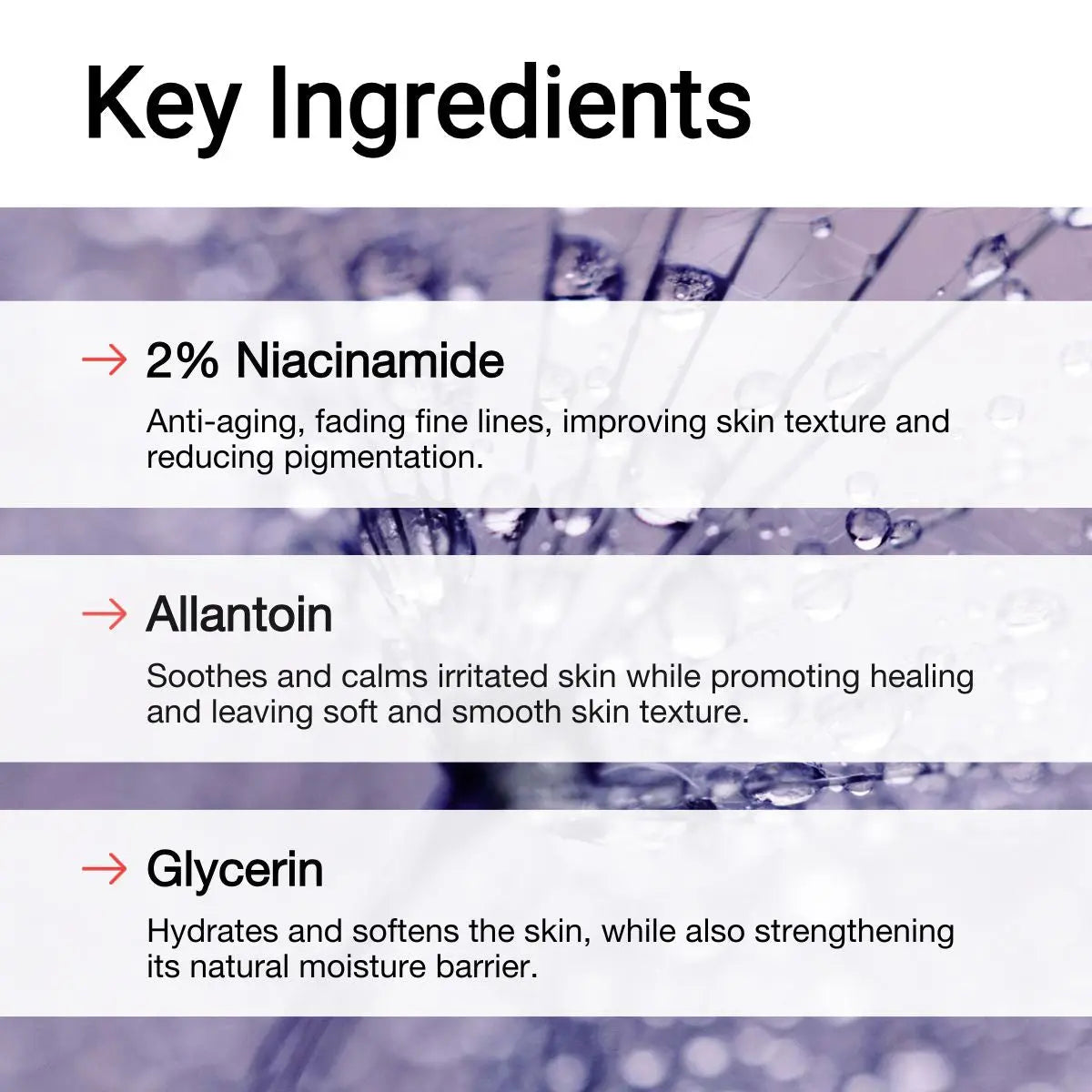 Key Ingredients of AccuFix's Niacinamide Body Lotion