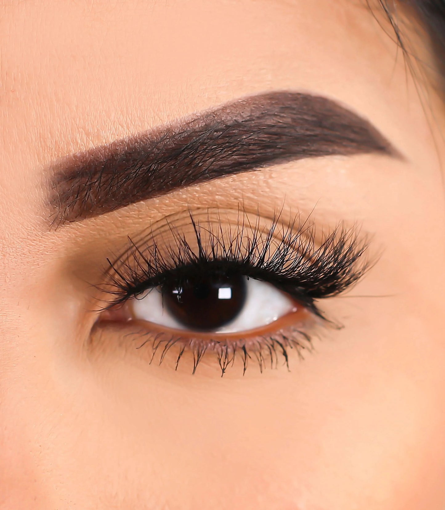 Lurella - 3D Mink Eyelashes Record