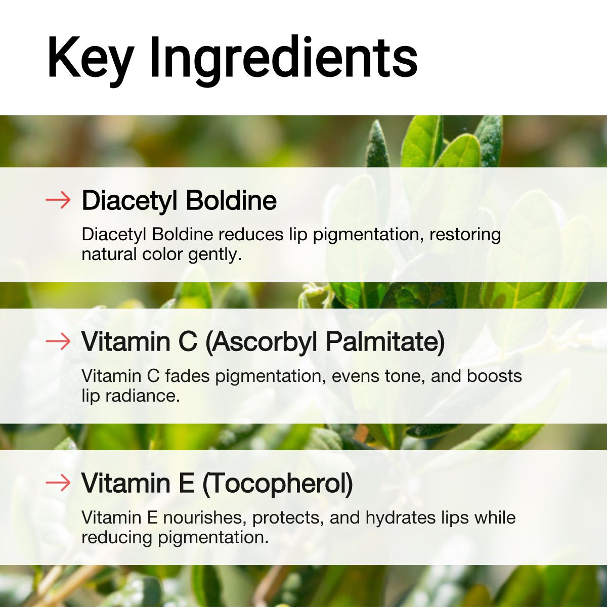 Key Ingredients of Dark Lip Treatment Balm