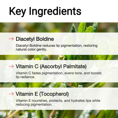 Key Ingredients of Dark Lip Treatment Balm