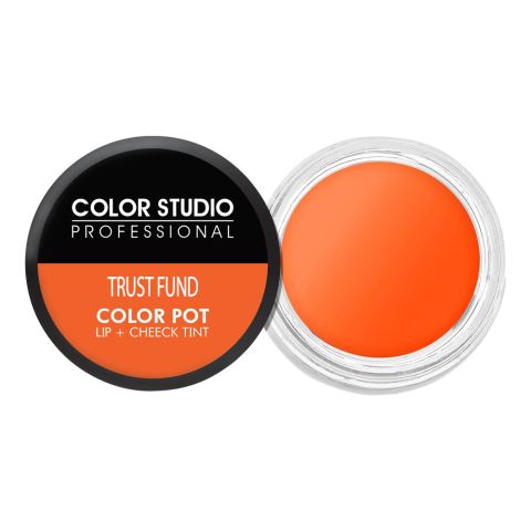Color Studio -  Color Pot Lip Tint