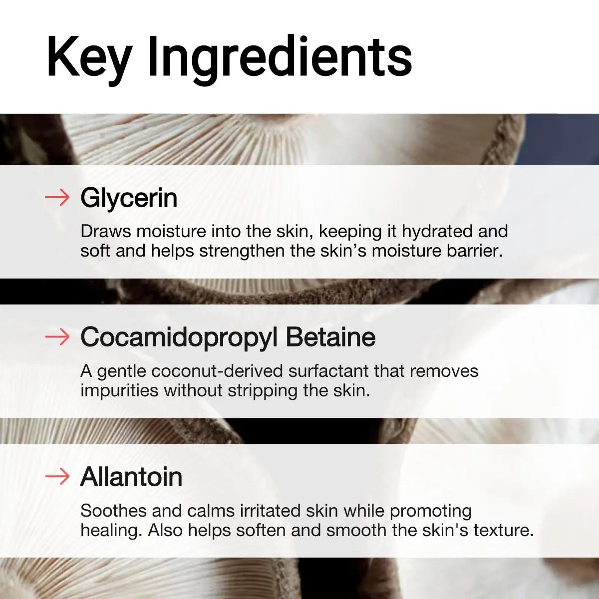 Key Ingredients: Allantoin & Coconut-derived in  Gentle Foaming Gel Face Wash | AccuFix Cosmetics