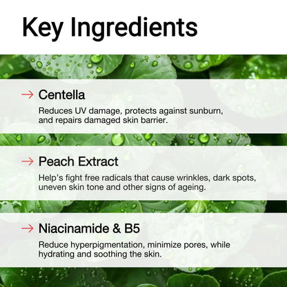 Best ingredients in Sunblock for skin protection - AccuFix 