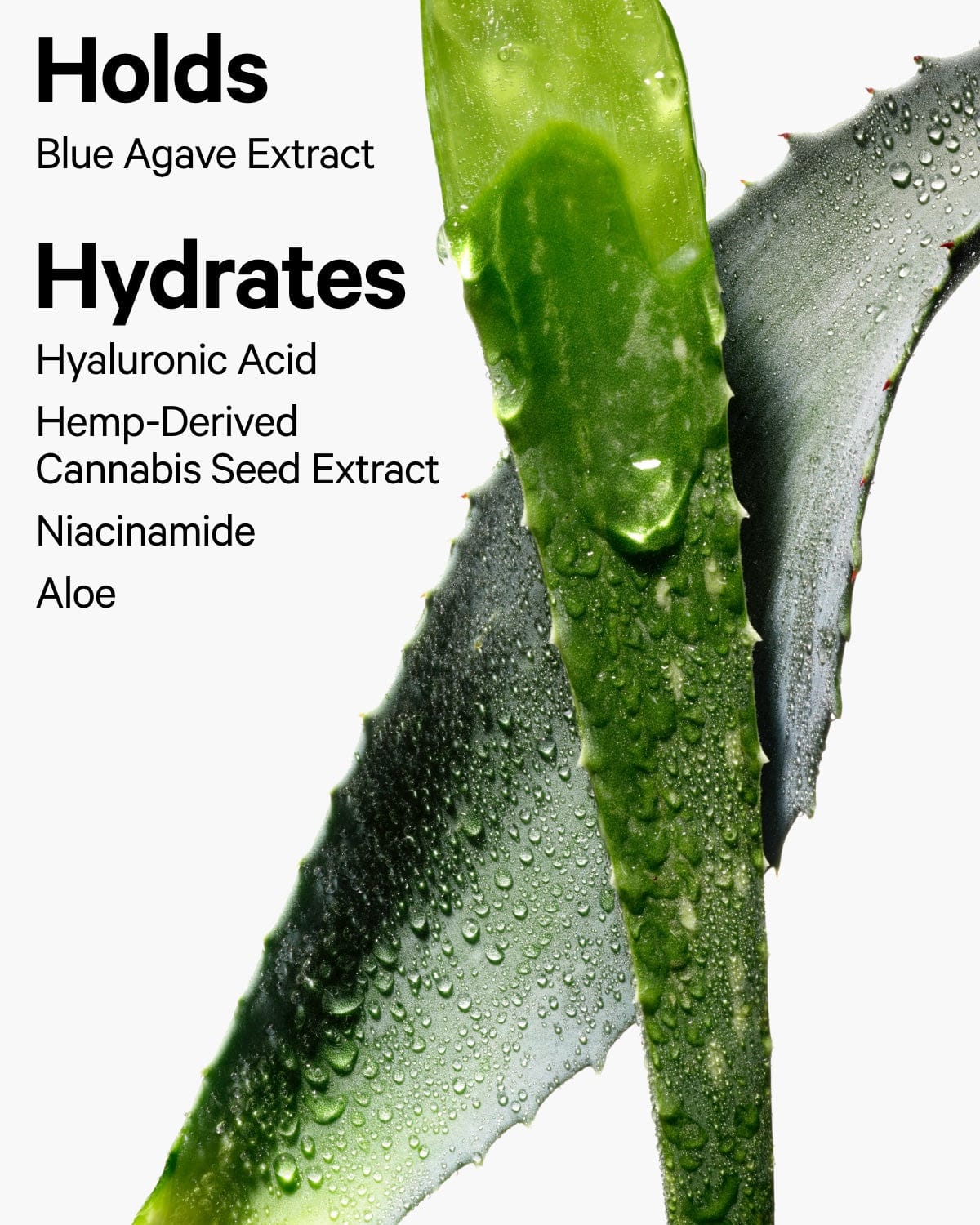 Milk Makeup Hydro Grip Spray Fixant 50ml