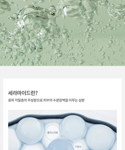 Anua - Heartleaf Succinic Moisture Cleansing Foam 150ml