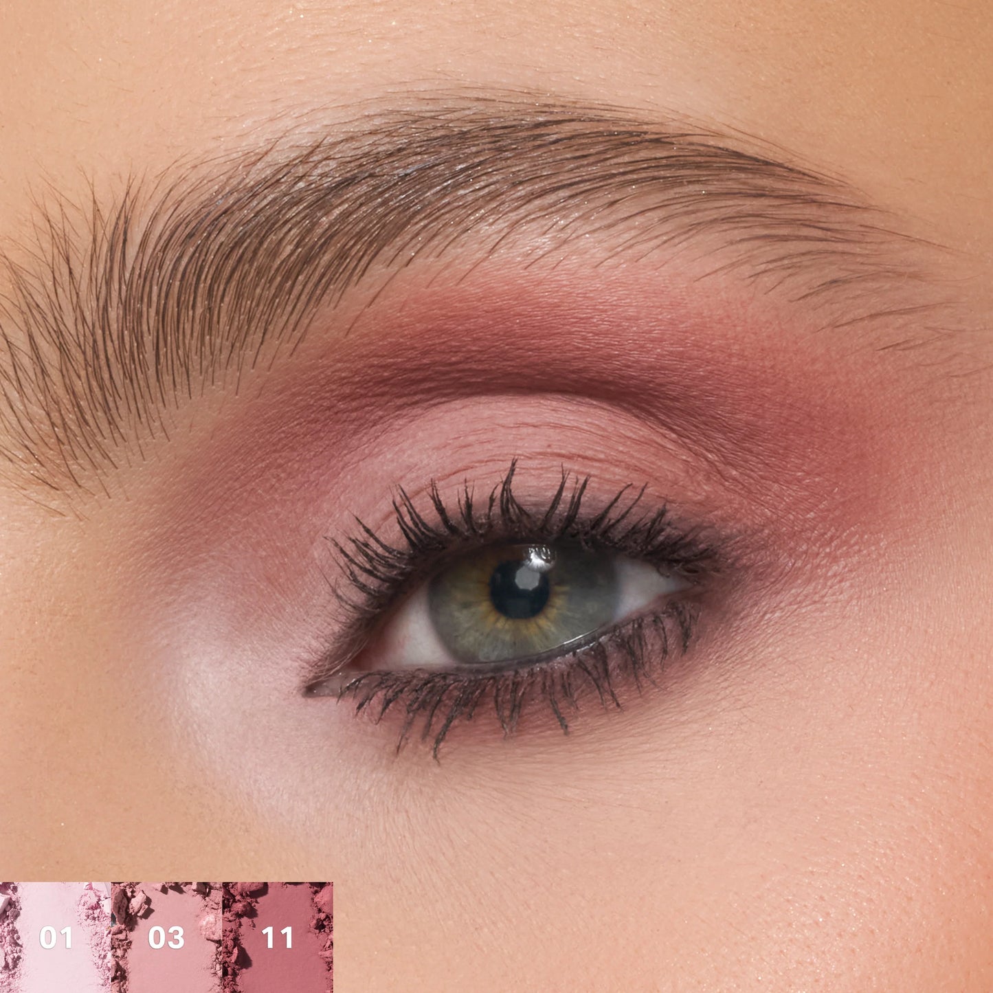 Morphe Eyeshadow Palette - Rose Frequency