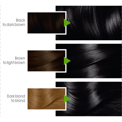 Garnier - Color Naturals Hair Colors - 1 Natural Black