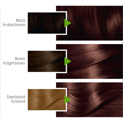 Garnier - Color Naturals Hair Colors - 6.7 Pure Chocolate Brown
