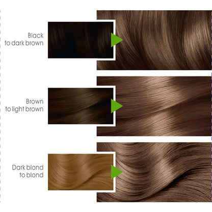 Garnier - Color Naturals Hair Colors - 6 Natural Medium Blonde