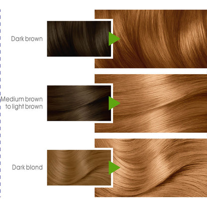 Garnier - Color Naturals Hair Colors - 7.3 Natural Golden Blonde