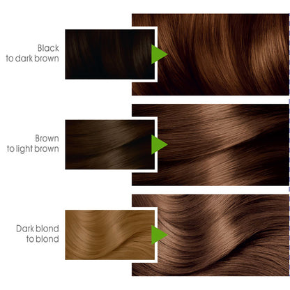 Garnier - Color Naturals Hair Colors - 6.34 Chocolate