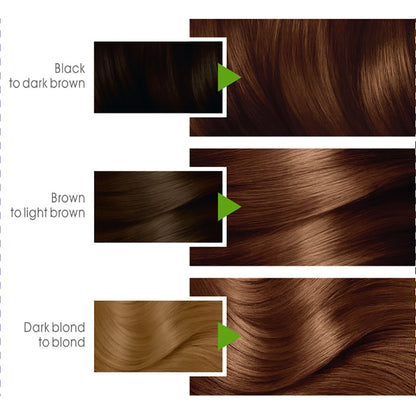 Garnier - Color Naturals Hair Colors - 5.3 Natural Light Golden Brown