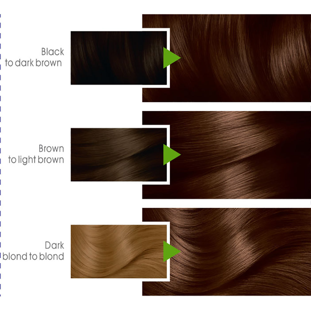 Garnier - Color Naturals Hair Colors - 4.3 Golden Brown