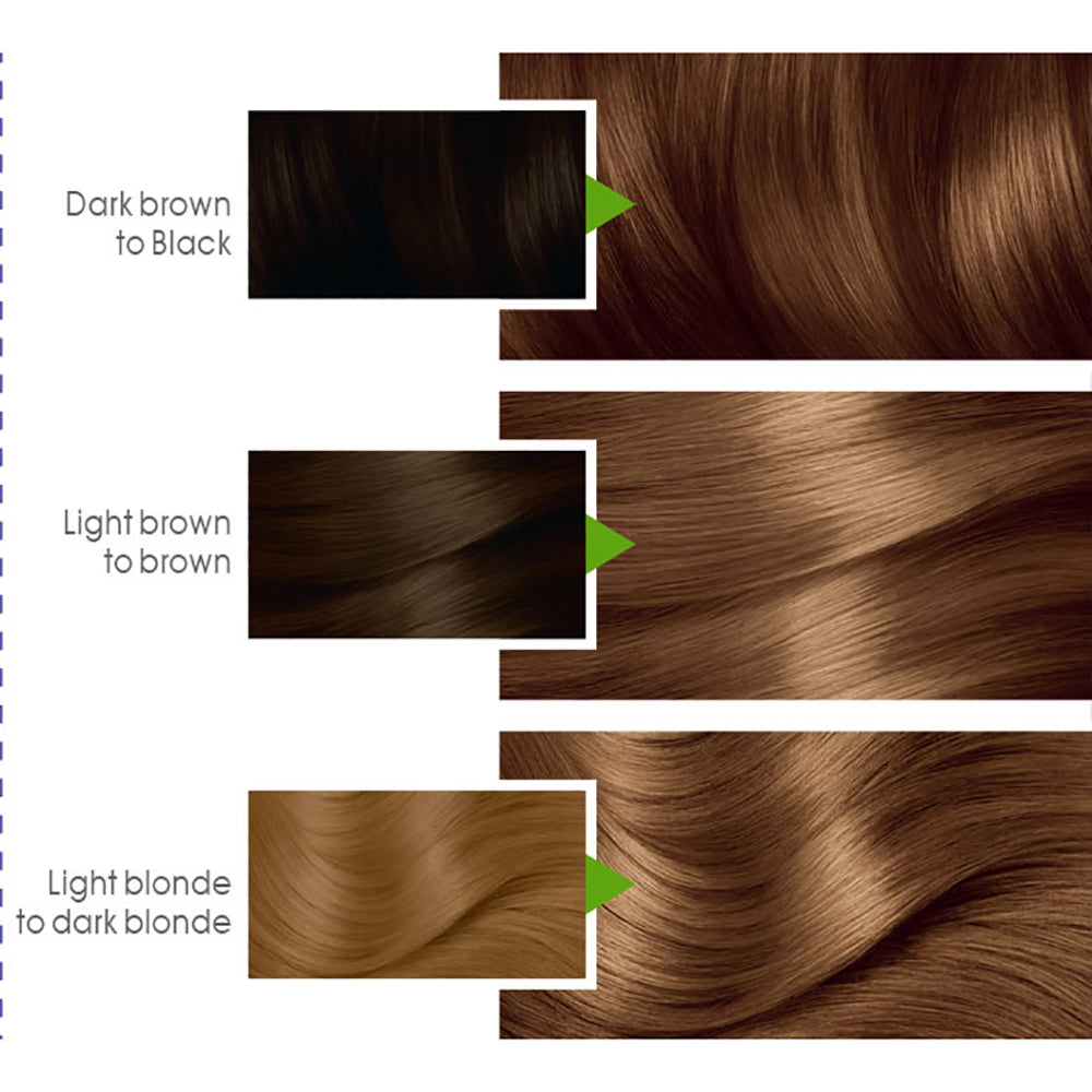 Garnier - Color Naturals Hair Colors - 6.3 Golden Light Brown