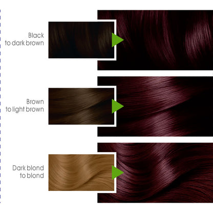 Garnier - Color Naturals Hair Colors - 3.6 Deep Red Brown