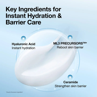 Anua - Barrier Reboot Water Gel Cream - 100ml