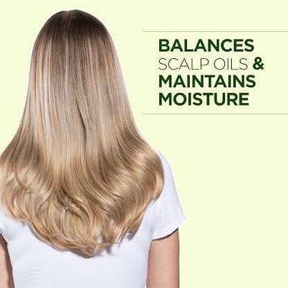 CHI Tea Tree Oil Conditioner 340Ml
