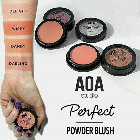 AOA Studio Perfect 0672 Frappe Bronze Powder 8G - Highfy.pk