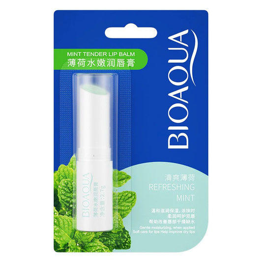 Bio Aqua Lip Balm Moisturizing Mint Tender - Highfy.pk